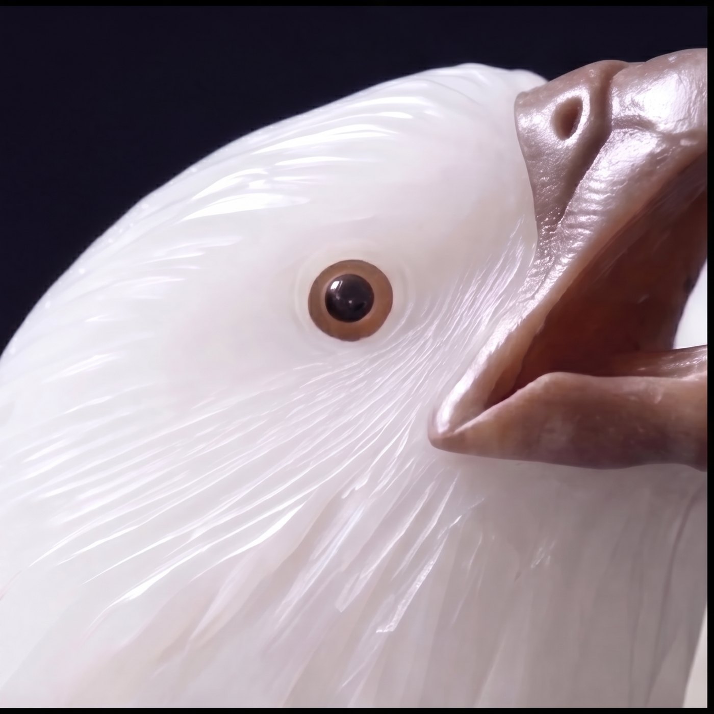 Alba Bianca — eye detail