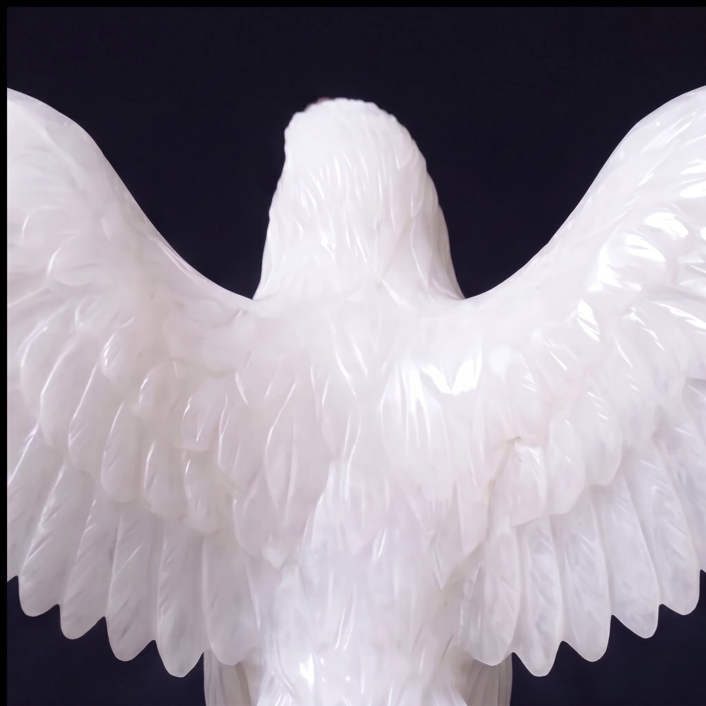 Alba Bianca — wing back