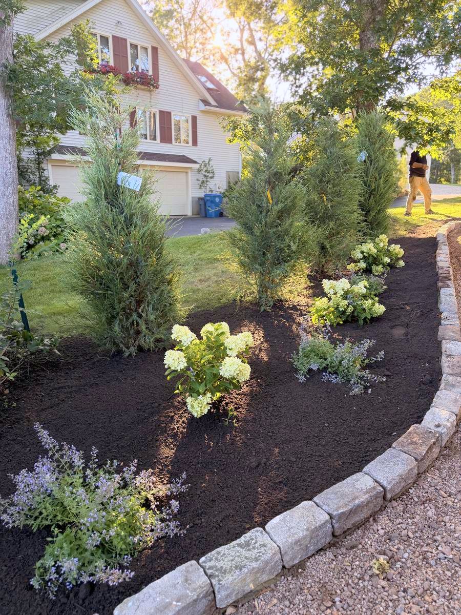 The bed planted out to the cobble edge