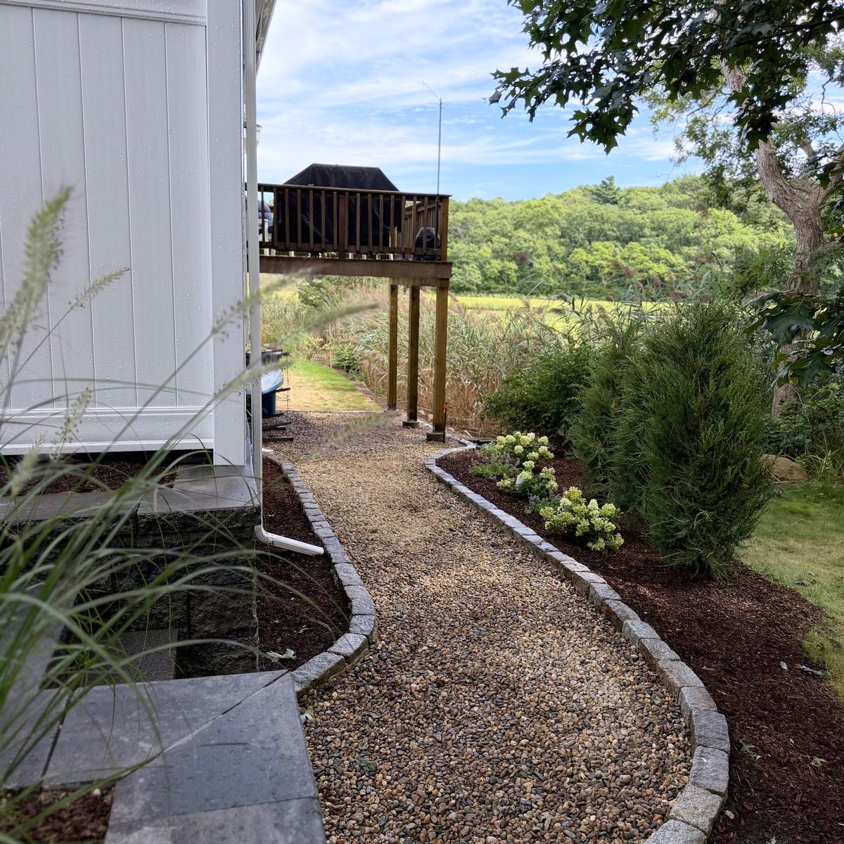 The same walk from the far end, hydrangeas set along the mulched bed under an upright juniper